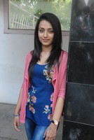 Trisha New Photo Gallery